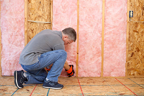 Best Types of Insulation in Lawson Heights, PA